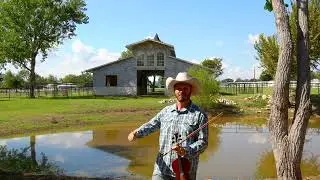 Fairytale Stables, Custom home in north Texas! Horse Property For Sale
