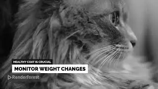 How do you know if your cat is sick? Important signs and warnings