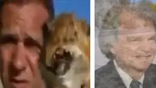 Matteo Montesi mangia un topettignao e si trasforma in Renato Brunetta