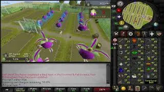 Tithe Farm | 20 Patch Route