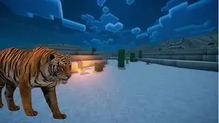 tigerwalking