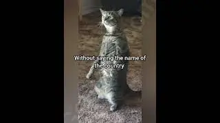 Опишите свою страну двумя словами #cat #funny #fyp #meme #georgieebom
