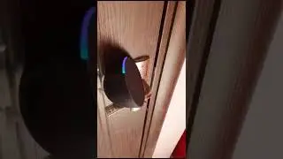 Motor AlphaEpsilon con tarjeta pulsadora WiFi para uso con Alexa