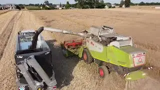 Żniwa 2023 w Agro Łazy | Lexion 550 | Fliegl ASW | Axion | Ernte | Harvest in eastern Poland
