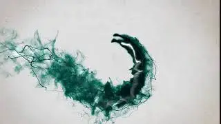 Animated Dragon Logo Design