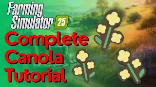 Canola Complete Guide | How To Grow, Harvest & Sell Canola In Farming Simulator 25