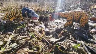 Horrane vs. Nandi bear