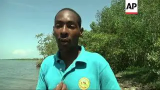 Cuba begins programme to repair mangroves after decades of damage