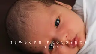 vlog 29: newborn photoshop tutorial, kleine update traject, en met pjoes naar de dierenarts.