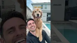 My dog smiles for selfies!