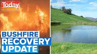 Families, farmers and wildlife recovering after bushfire crisis | Today Show Australia