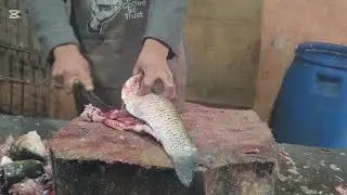 Wow fantastic cutting skills of two big fish // fish cutting skills // pakistan // 2025