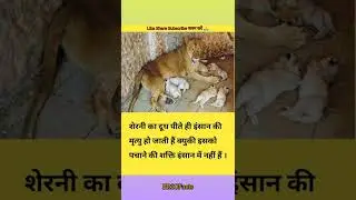 #shorts #trending #facts #amazingfacts #dailyfacts #factsinhindi #factshorts #br30facts