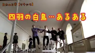 四羽の白鳥あるある…バレエ習ってる人はだいたいした事ある…ハズ