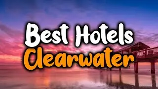 Best Hotels In Clearwater, Florida - For Families, Couples, Work Trips, Luxury & Budget