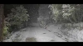 Snowstorm in the Huachuca mountains of Southeastern Arizona Jan 7 2026