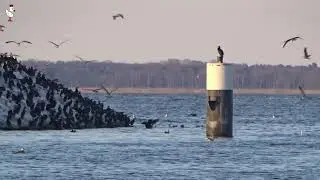 unterwegs am Hafen Barth (3-2025)