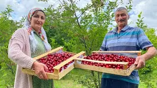Вкуснейшее деревенское варенье из домашней вишни! Расслабляющая жизнь в деревне