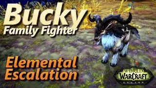 Bucky Elemental Escalation Family Fighter Warcraft Pet Battle