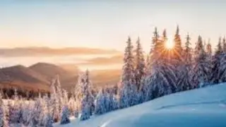 🪴आज बहुत ठंड है🌁🌁 ऐसे में चाय तो बनती है☕