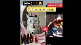 #funny #kadaama