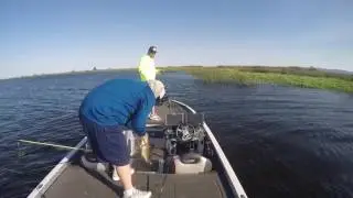 Bass fishing ca delta july 9th