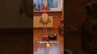 cleaning #music #newmusic #love #content #blogger #subscribe #people #video#home#house#day