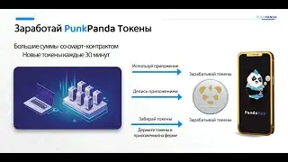 PunkPanda Обзор Кабинета
