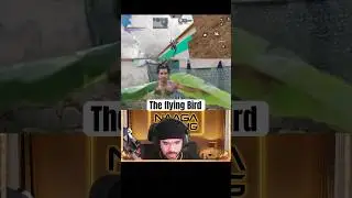 The flying bird in call of duty mobile