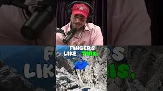 Post Malone #Aliens #UFO #FunnyDiscussion #WeirdAliens #AlienAbilities #HaloGame #Imagination