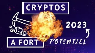 Mes diff&eacute;rents projets crypto 2023 ( Pools wallet Minage )