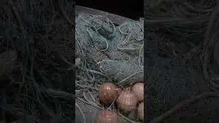 Fishing Trawl net buoy