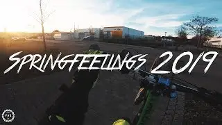 Springfeelings 2019 (f7 l)