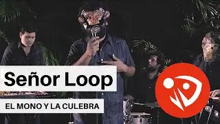 Se&ntilde;or Loop - El mono y la culebra (Video Oficial)