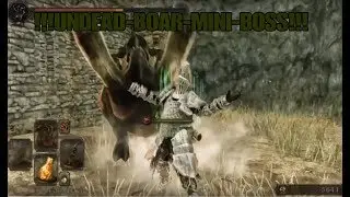 !!!SUPER SECRET BOAR-BOSS!!!|Dark Souls 2