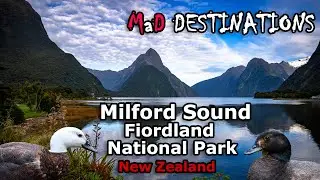 Milford sound