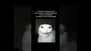 Честная и объективная журналистика only! #журфак #вшэ #мгу