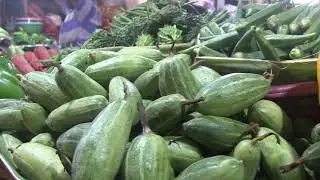 AGRICULTURE, Agro-Export & agony.