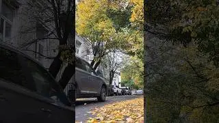 Tbilisi.Autumn streets Осень на улицах. #tbilisi#თბილისი #осеньзолотая