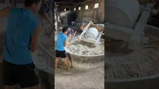 Amazing! Unique Traditional Noodles Making Process in Indonesia