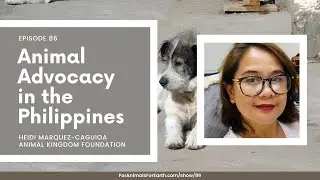 Animal Welfare in the Philippines with Animal Kingdom Foundation's Heidi Marquez-Caguioa