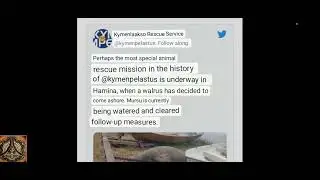 WALRUS stranded at Finlands shore | 12'000 year cycle of the SUN