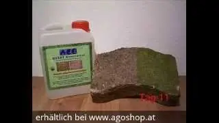 AGO Quart Konzentrat Algen- und Moosentfernung