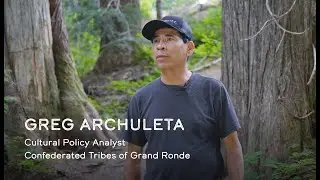 Culturally Modified Tree Training