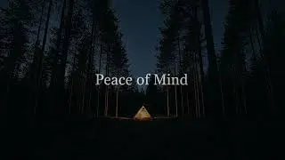 Alone in the Forest 🌲 | Building a Shelter | Relaxing Camping ASMR