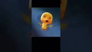 Top 5 chiken