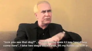 Ian Dunbar Interview 3 - Aggressive Territorial Dogs (eng)