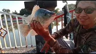 Berburu Ikan Pakai Paser Mancing Mania Paser Ikan Paser Mania Taman Tirtonadi Kota Solo