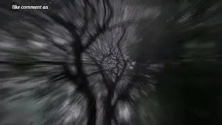 relaxing sound of rain water to help you sleep to relax your mind originals video @relax-l1b 