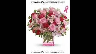 Send flowers from Serbia to Calgary Alberta Canada